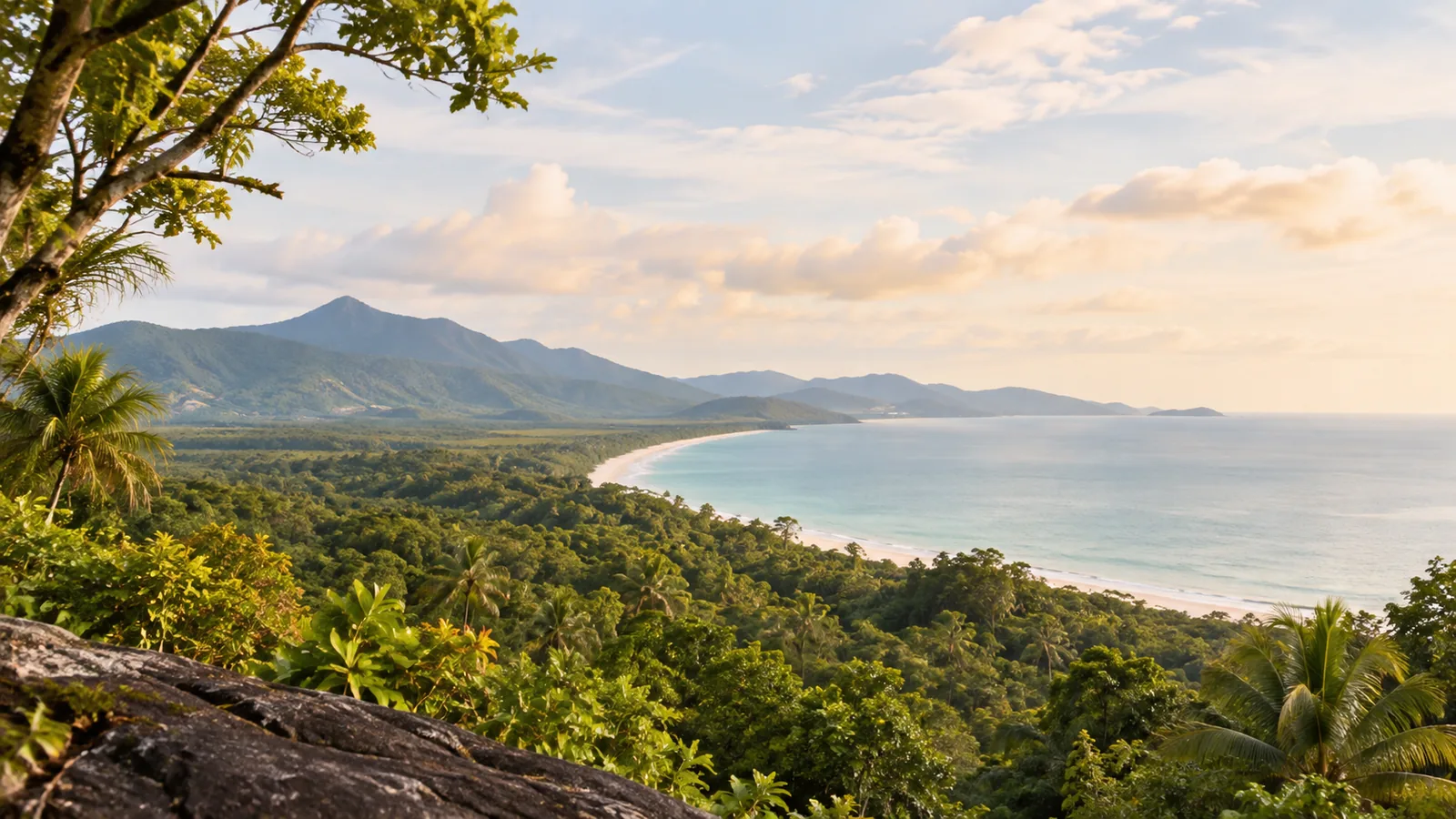 Tour di un giorno nella Foresta pluviale di Daintree e a Cape Tribulation