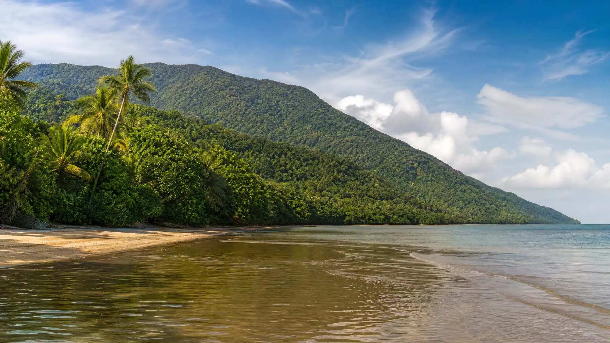 Entdecken Sie den ältesten ununterbrochen bestehenden tropischen Regenwald der Welt. Vergleichen Sie Tagesausflüge, Flussfahrten und Selbstfahrer-Routen nach Cape Tribulation.