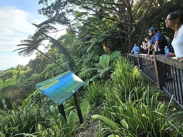 Turisti in piedi su una passerella di legno che osservano il panorama della foresta pluviale con un cartello informativo