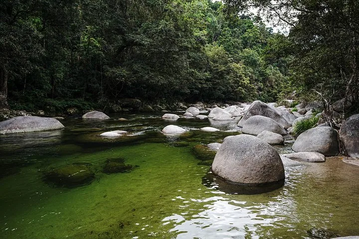 Río verde y claro que fluye sobre grandes rocas redondas en un bosque denso