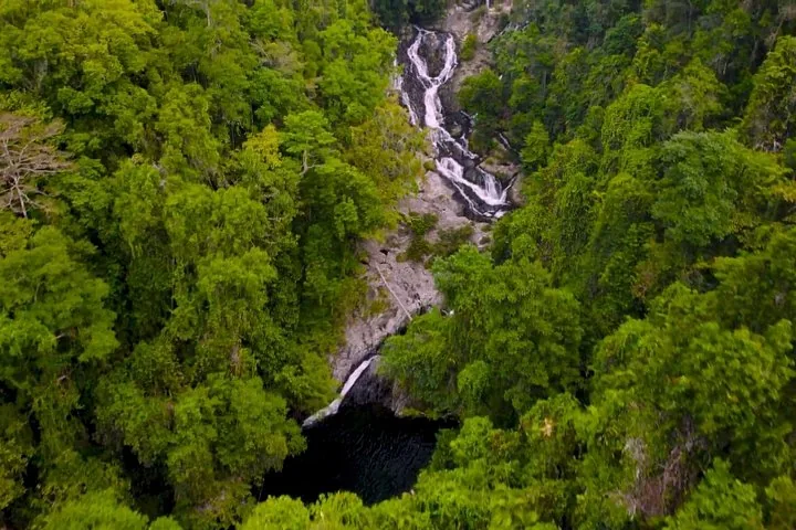 An aerial view of a cascading waterfall flowing through a dense green rainforest