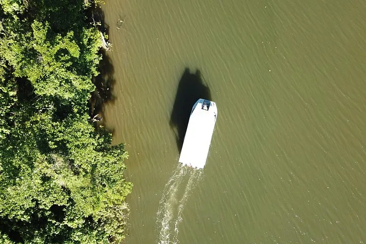 Luftaufnahme eines Bootes, das neben einem üppig grünen Ufer einen Fluss entlangfährt.